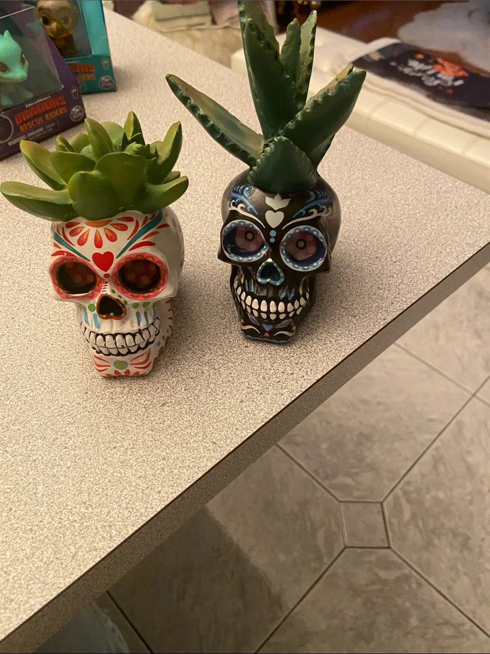Hand-Painted Sugar Skull Faux Succulent Planter Pair - White & Black